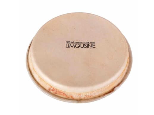 Drum-Limousine-TD-HEAD5-skind-til-Traditional-bongotrommer-5-½