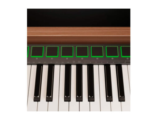 Nux-NTK-61-midi-controller-Drum-Limousine