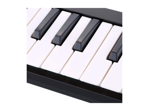 Worlde-Easy-Key-midi-controller-Drum-Limousine Worlde-Easy-Key-midi-controller-Drum-Limousine