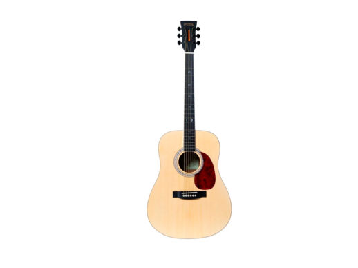 Santana-Player-D11-NA-western-guitar-nature-Drum-Limousine