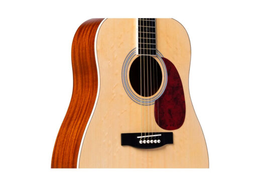 Santana-Player-D11-NA-western-guitar-nature-Drum-Limousine
