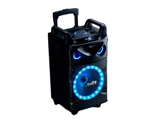 MouKey-MTs10-2-transportabelt-anlæg-m-2-trådløse-mikrofoner-Drum-Limousine