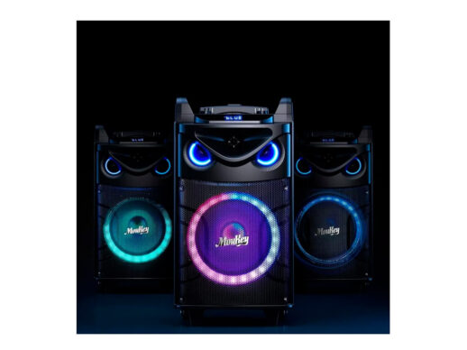 MouKey-MTs10-2-transportabelt-anlæg-m-2-trådløse-mikrofoner-Drum-Limousine