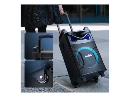 MouKey-MTs10-2-transportabelt-anlæg-m-2-trådløse-mikrofoner-Drum-Limousine