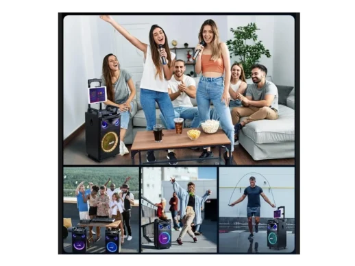 MouKey-MTs10-2-transportabelt-anlæg-m-2-trådløse-mikrofoner-Drum-Limousine