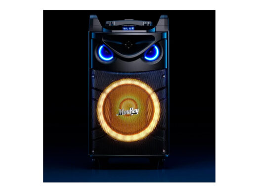 MouKey-MTs10-2-transportabelt-anlæg-m-2-trådløse-mikrofoner-Drum-Limousine