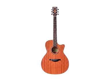 Santana Guitars