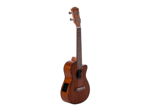 Santana-U6-C-concert-ukulele