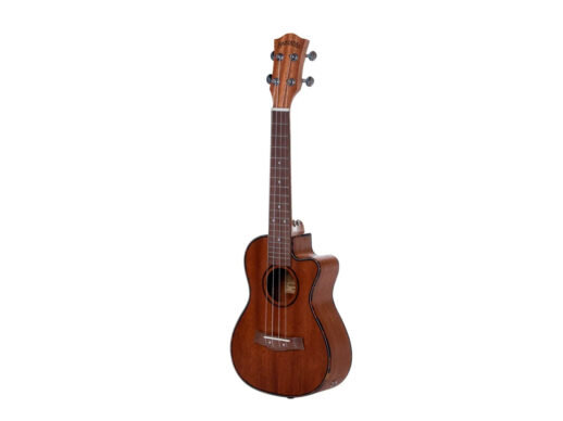 Santana-U6-C-concert-ukulele