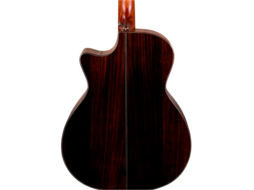 Tyma-G-20SE-BRS-Western-Guitar