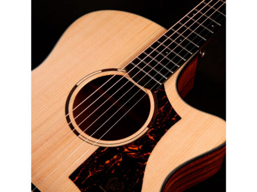 Tyma-TG-2E-western-guitar-nature