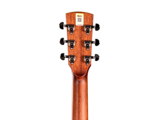 Tyma-TG-2E-western-guitar-nature