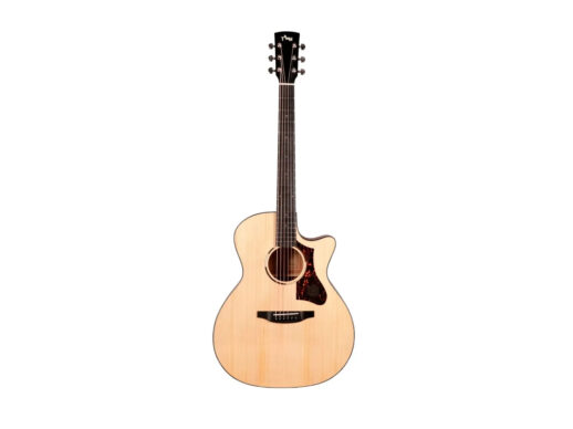 Tyma-TG-2E-western-guitar-nature