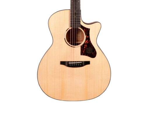 Tyma-TG-2E-western-guitar-nature