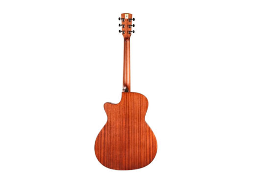 Tyma-TG-2E-western-guitar-nature