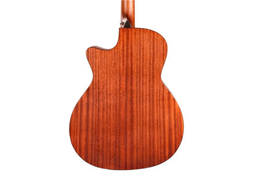 Tyma-TG-2E-western-guitar-nature