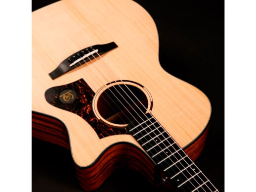 Tyma-TG-2E-western-guitar-nature