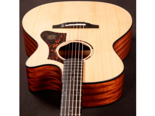 Tyma-TG-2E-western-guitar-nature