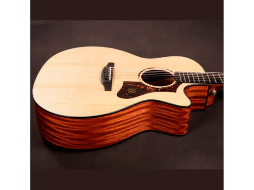 Tyma-TG-2E-western-guitar-nature