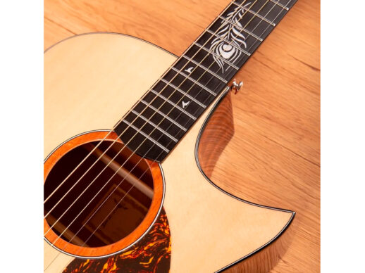 Tyma-TG5E-LIVE-western-guitar-nature