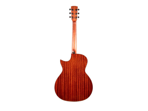Tyma-TG5E-LIVE-western-guitar-nature
