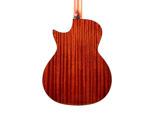 Tyma-TG5E-LIVE-western-guitar-nature