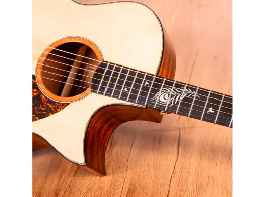 Tyma-TG5E-LIVE-western-guitar-nature