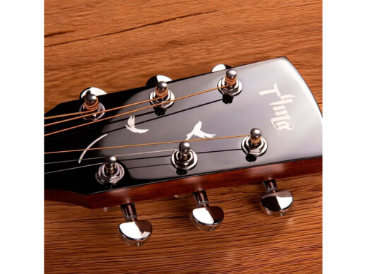 Tyma-TG5E-LIVE-western-guitar-nature