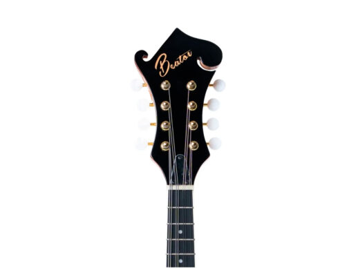 Beaton-Icon-F8-NA-mandolin-nature Beaton-Icon-F8-NA-mandolin-nature