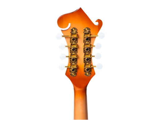 Beaton-Icon-F8-NA-mandolin-nature Beaton-Icon-F8-NA-mandolin-nature