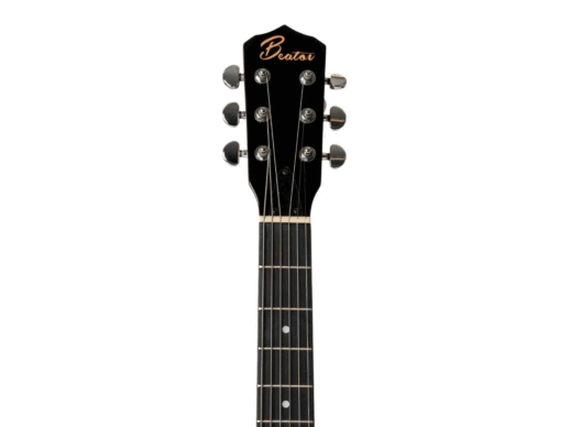Beaton-Saga-16-banjo,-6-strenget Beaton-Saga-16-banjo,-6-strenget