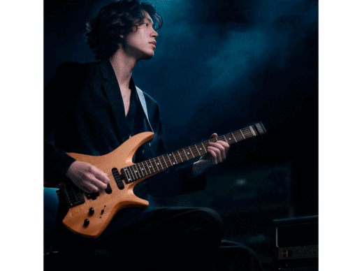 Donner-HLX-500-Headless-el-guitar-nature