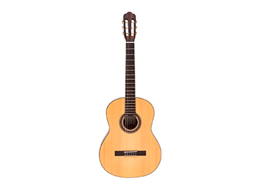 Santana Guitars